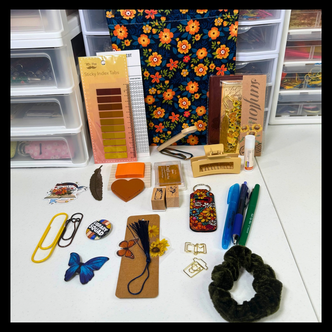 25 Item Bookish Mystery Bundle