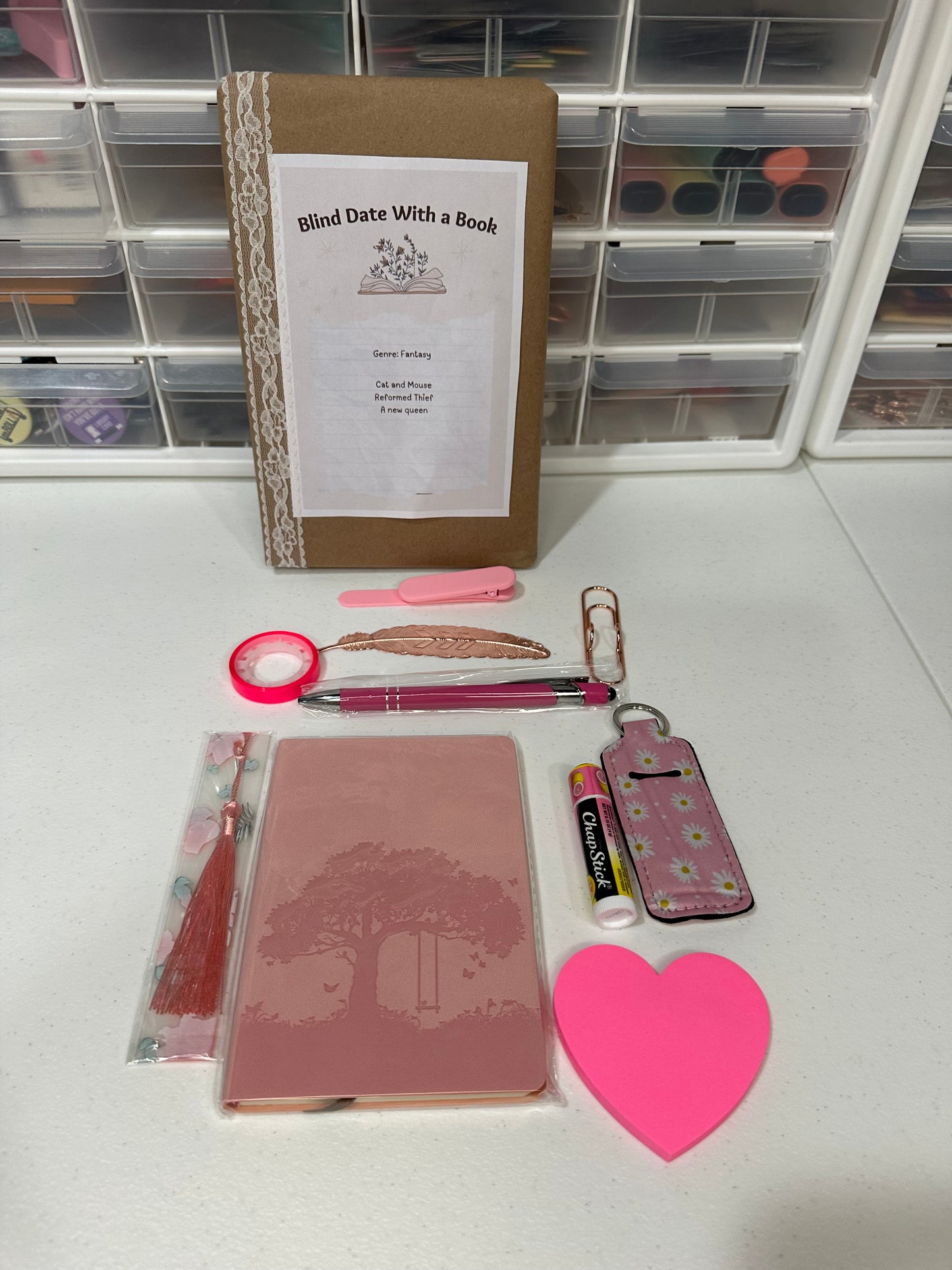 10 Item Mystery Bookish Bundle - with Mystery Book