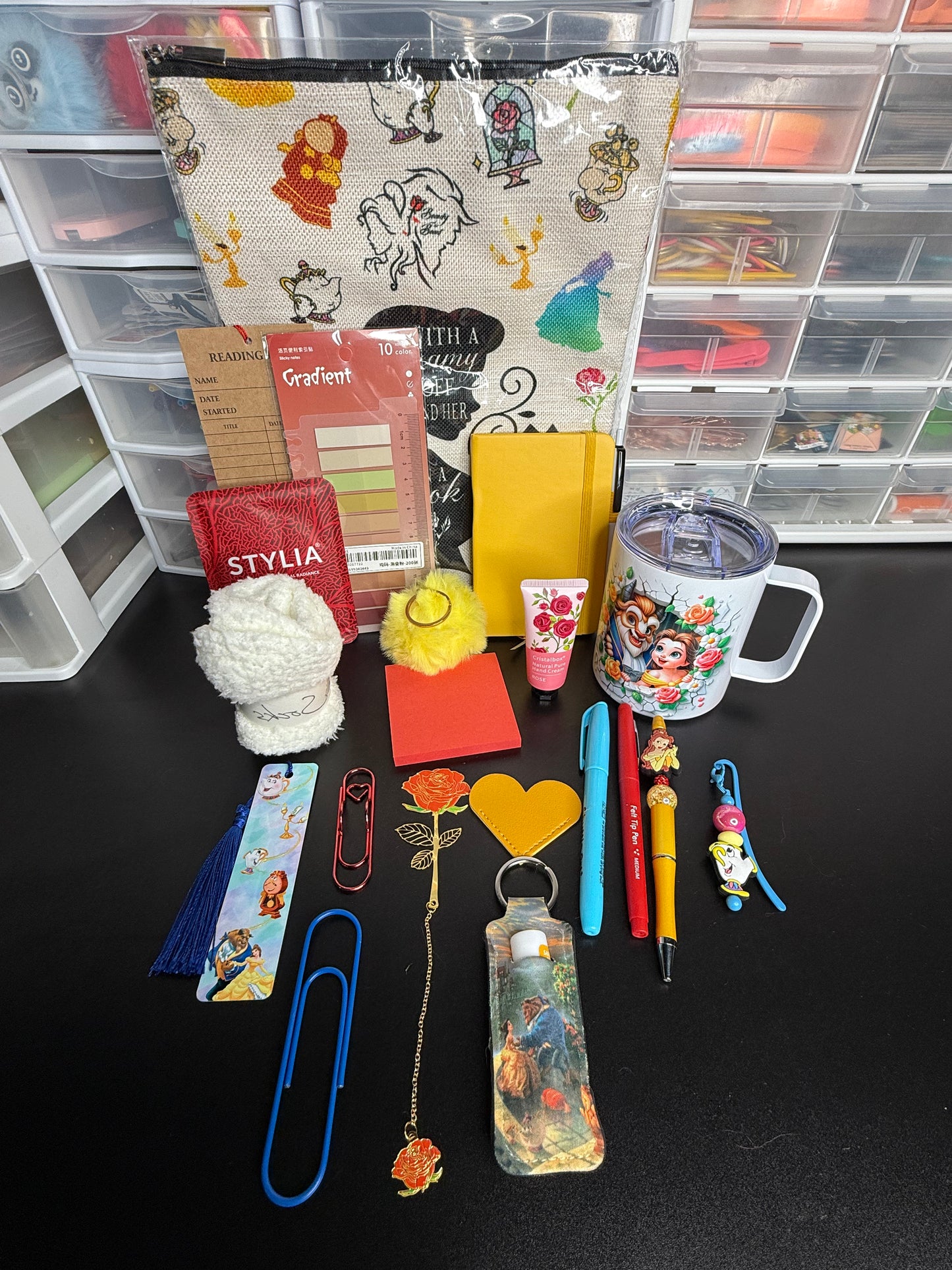 Beauty and the Beast Themed Bookish Box