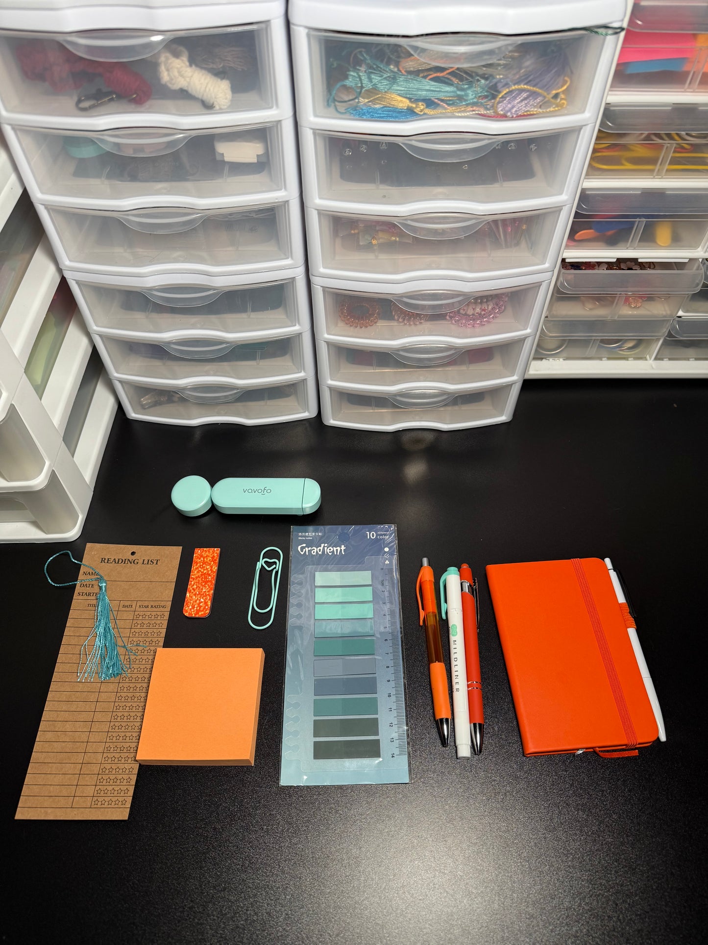 TS12 Blind Date with a Book Deluxe