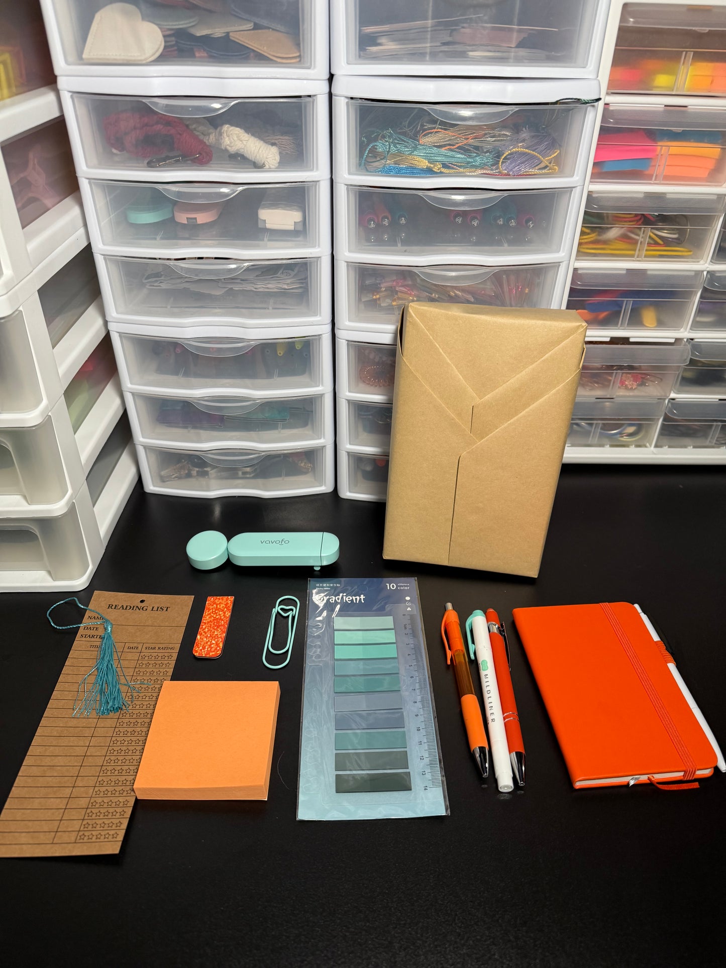 TS12 Blind Date with a Book Deluxe