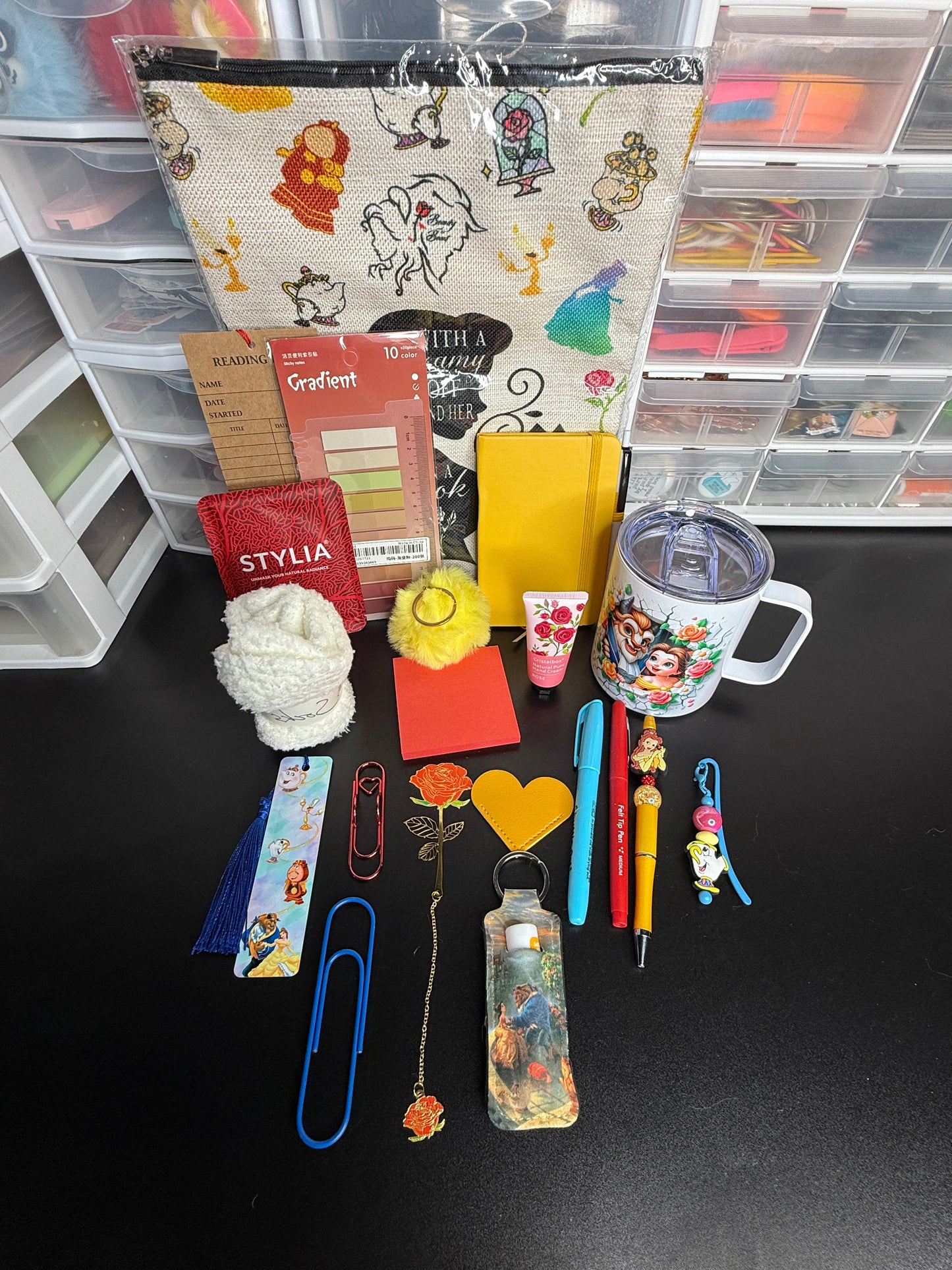 Beauty and the Beast Themed Bookish Box