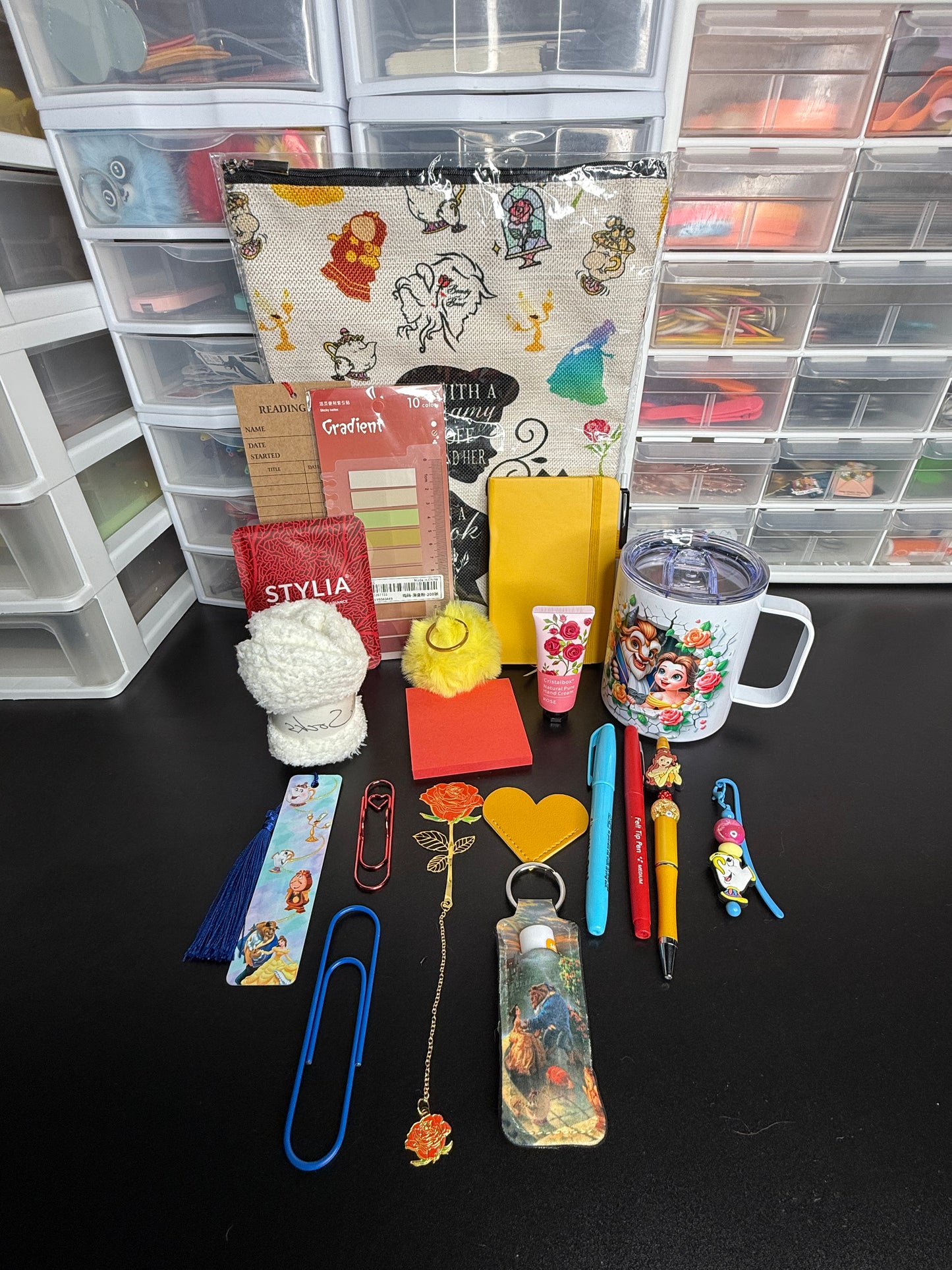 Beauty and the Beast Themed Bookish Box